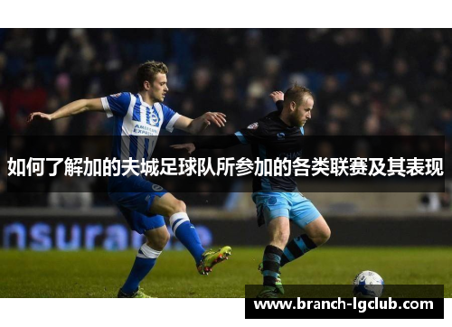 如何了解加的夫城足球队所参加的各类联赛及其表现 如何了解加的夫城足球队所参加的各类联赛及其表现