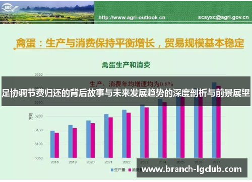 足协调节费归还的背后故事与未来发展趋势的深度剖析与前景展望