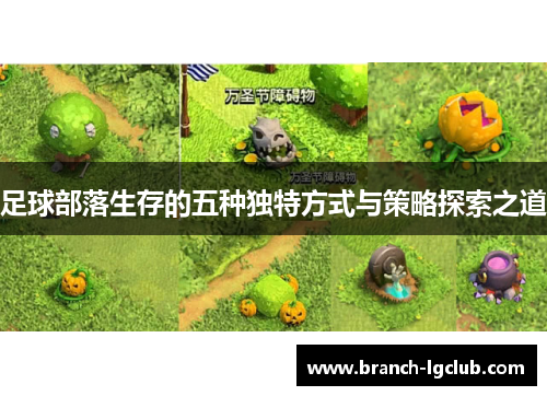 足球部落生存的五种独特方式与策略探索之道